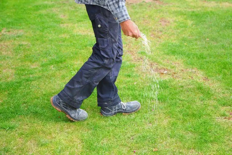 Efficient Lawn Fertilization in Greenville, NC