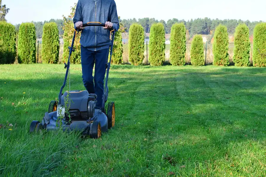 Efficient Lawn Mowing in Greenville, NC