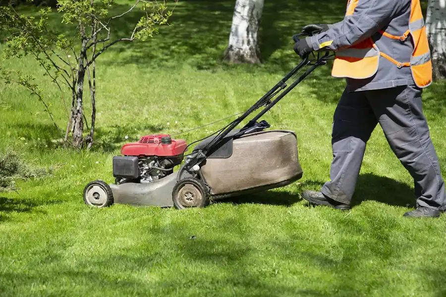 Reliable Lawn Mowing in Greenville, NC