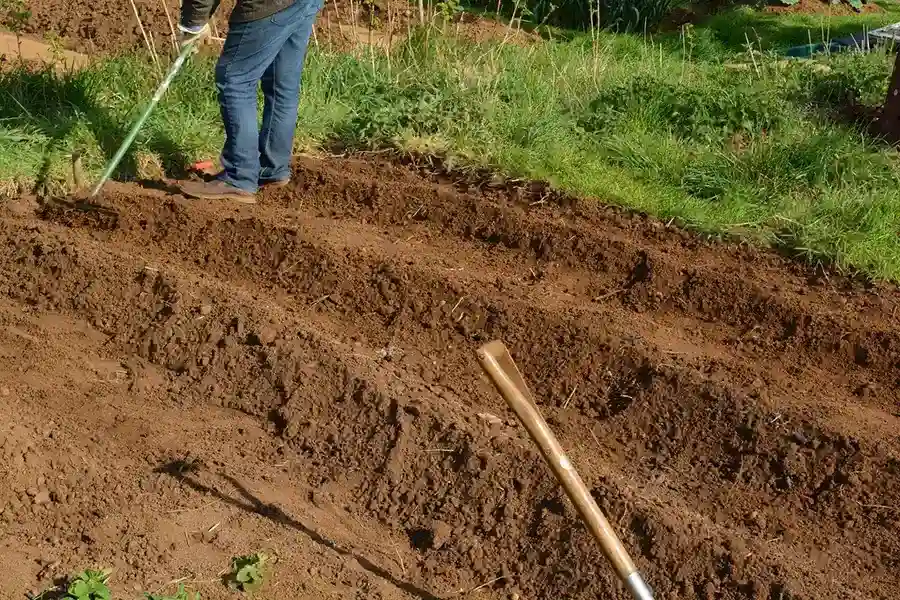 Best Mulching in Greenville, NC