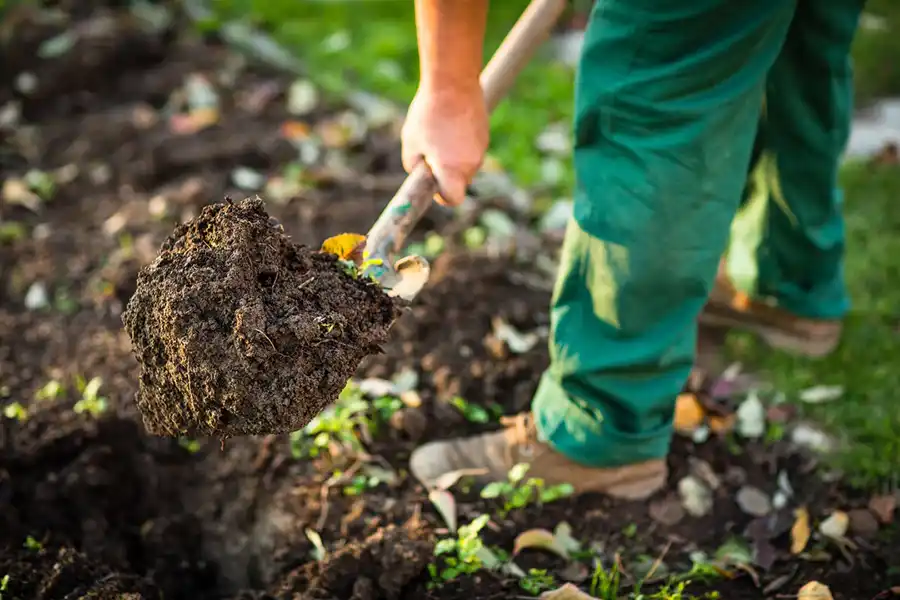 Reliable Mulching in Greenville, NC