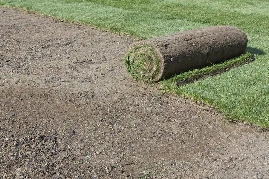 Efficient Sod Installation in Greenville, NC