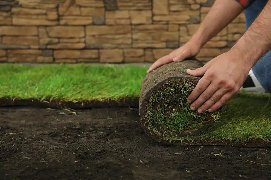 Reliable Sod Installation in Greenville, NC