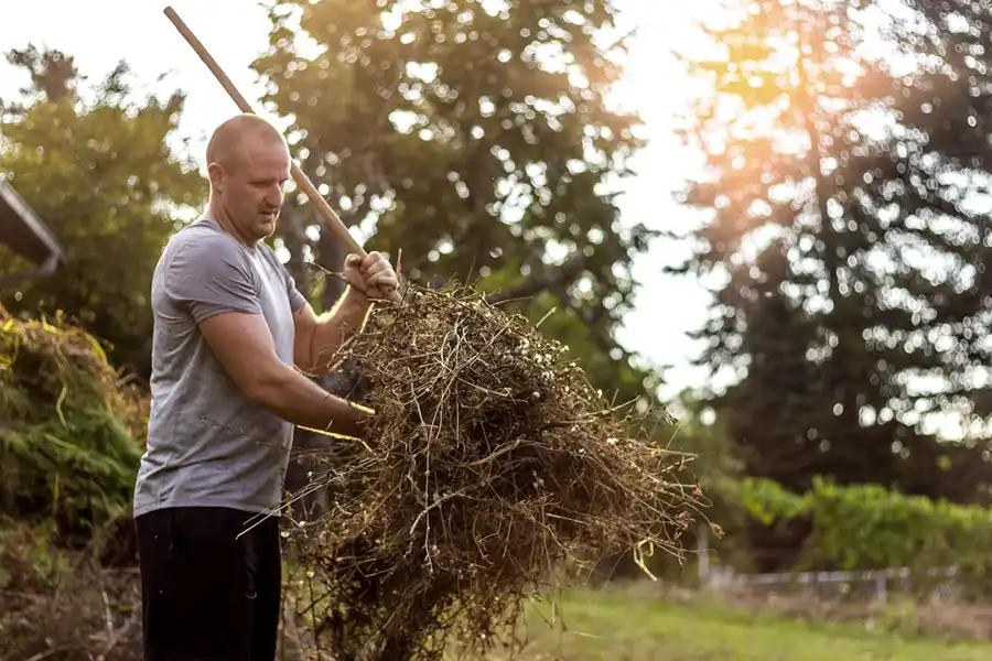 Efficient Yard cleanup in Greenville, NC