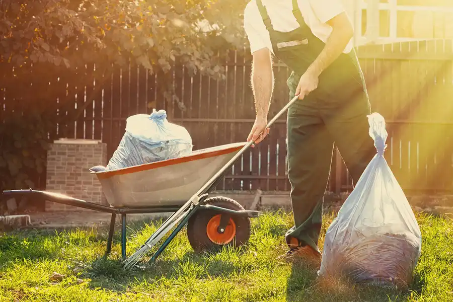 Best Yard cleanup in Greenville, NC